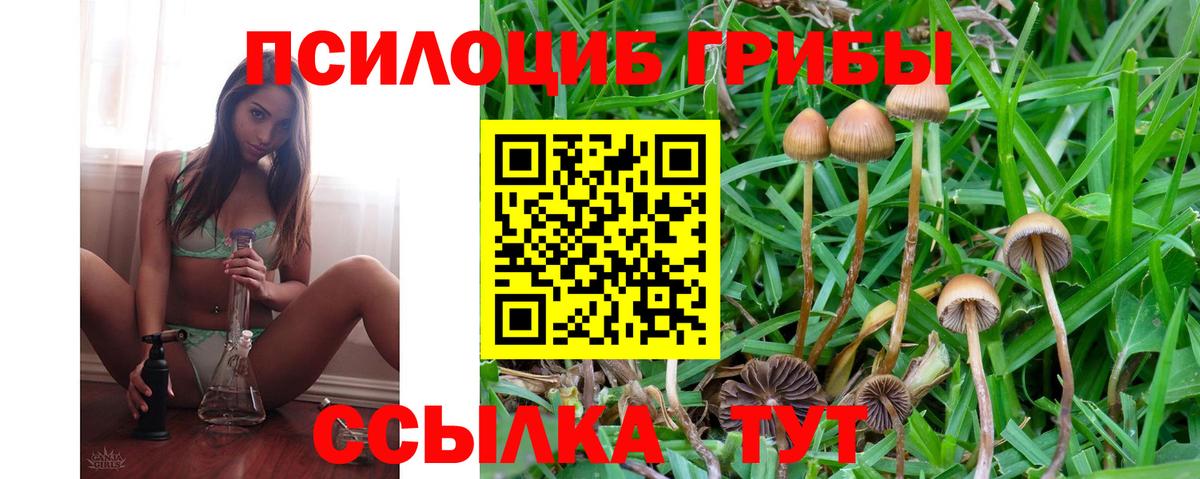 Галлюциногенные грибы GOLDEN TEACHER  Вход с VPN  Богданович 