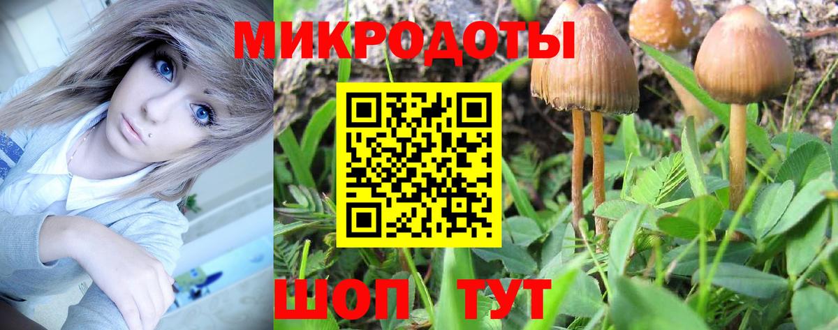 Галлюциногенные грибы прущие грибы Богданович